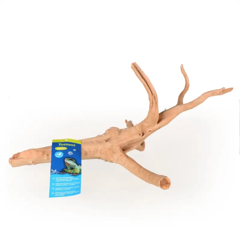 Azalea Root M 30-40cm Novinka