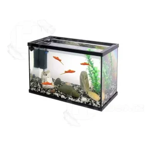 Výprodej Akvárium set PACIFIC KID 40 x 20 x 25 cm - 20 l bez osvětlení