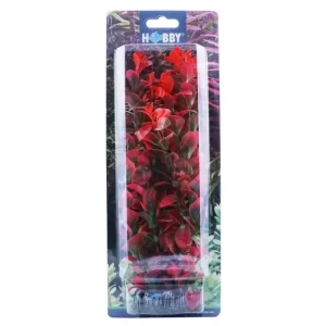 HOBBY Dekorace Ludwigia, 34 cm Hit Sezóny