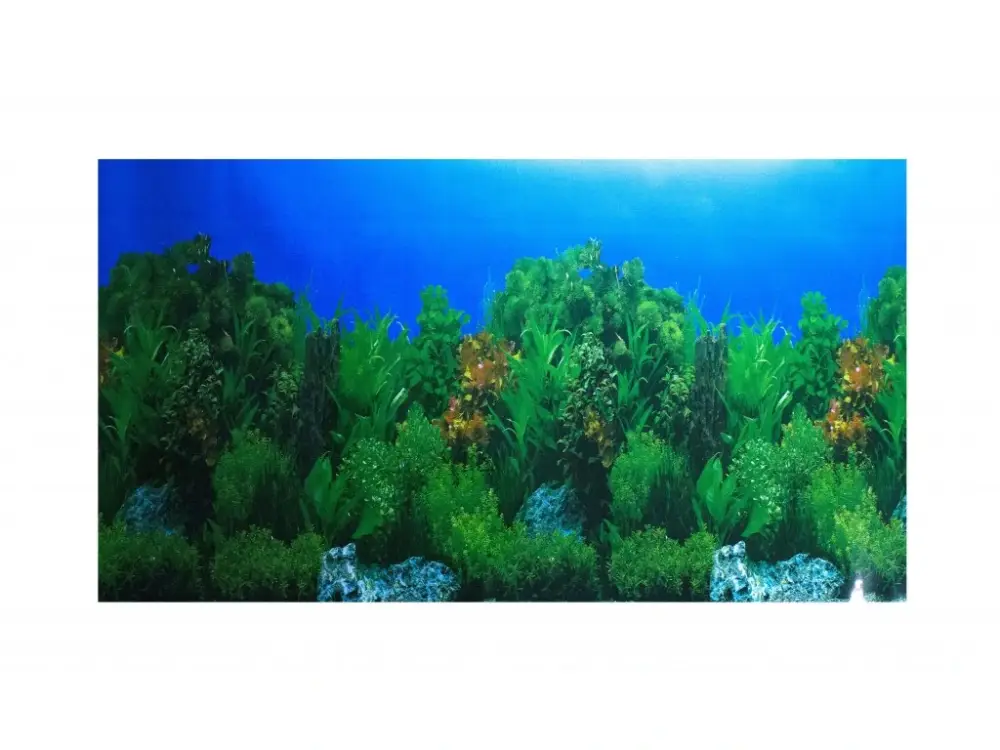 Omezená Nabídka Akvarijní pozadí C80060 výška 61cm