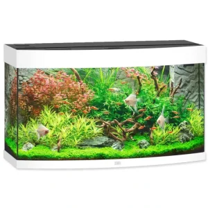 Akvárium set JUWEL Vision LED 180 bílé Přímo Od Výrobce