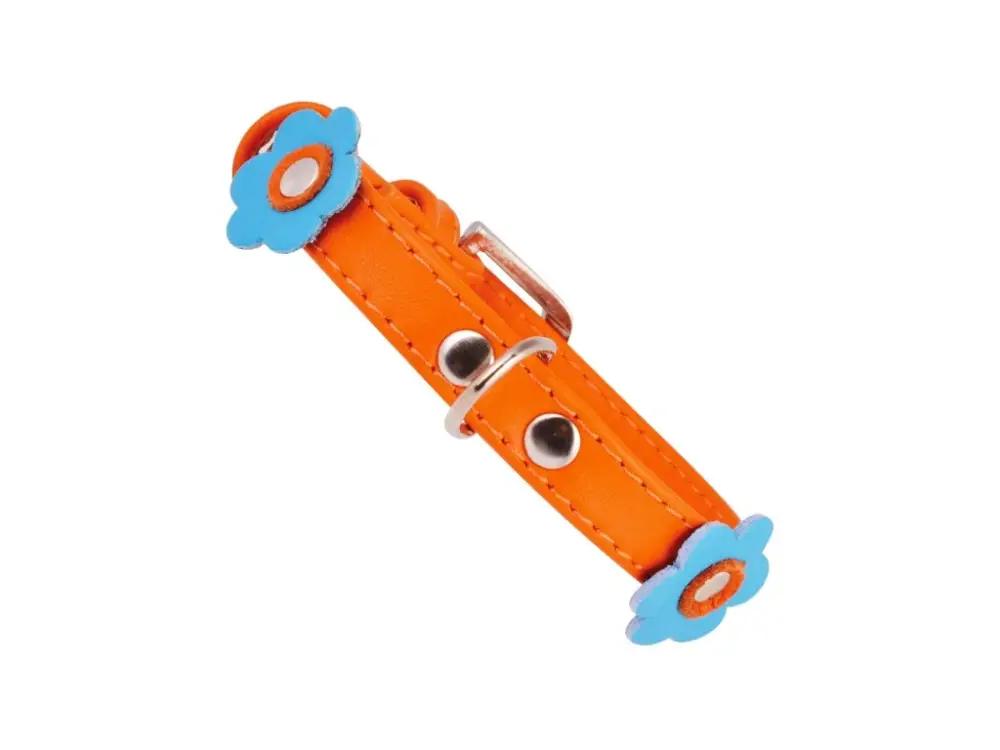 Koupit Online Obojek kožený Glamour Flower - oranžový (19-25cm/9mm)