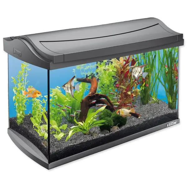 Tetra AquaArt LED akvarijní set 60 l 15kg Vysoce Kvalitní