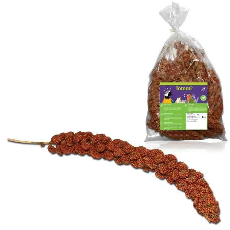 Aktuální Senegalské proso červené, 200g