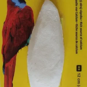Časově Omezené Sépiová kost na kartě cca 12 cm