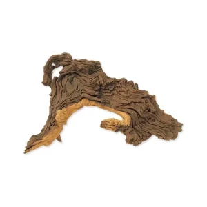 Dekorace Hobby Dohse kořen Tropical wood M Výhodná Nabídka