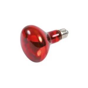 Zlevněný Infrared Heat Spot-Lamp red