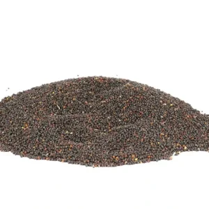 Nová Kolekce Řepka semínko 1 kg