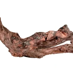 Akvarijní/terarijní kořen Mangrove S 15/25cm Zolux Pouze Dnes