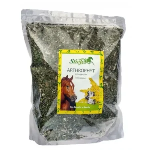 Novinka Arthrophyt Byliny na klouby Sáček 1 kg