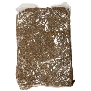 UGF sušený moučný červ 10kg Super Cena