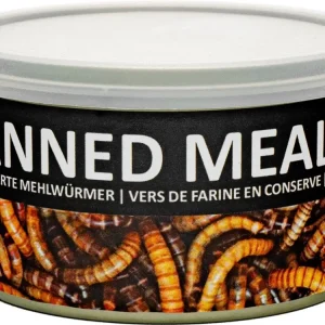 UGF sušený moučný červ konzerva 35g Autentický