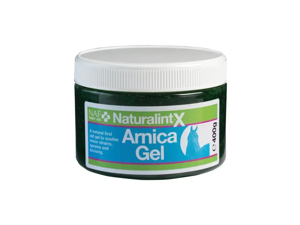 Arnika gel na namožené svaly s MSM 400 g Akční Nabídka