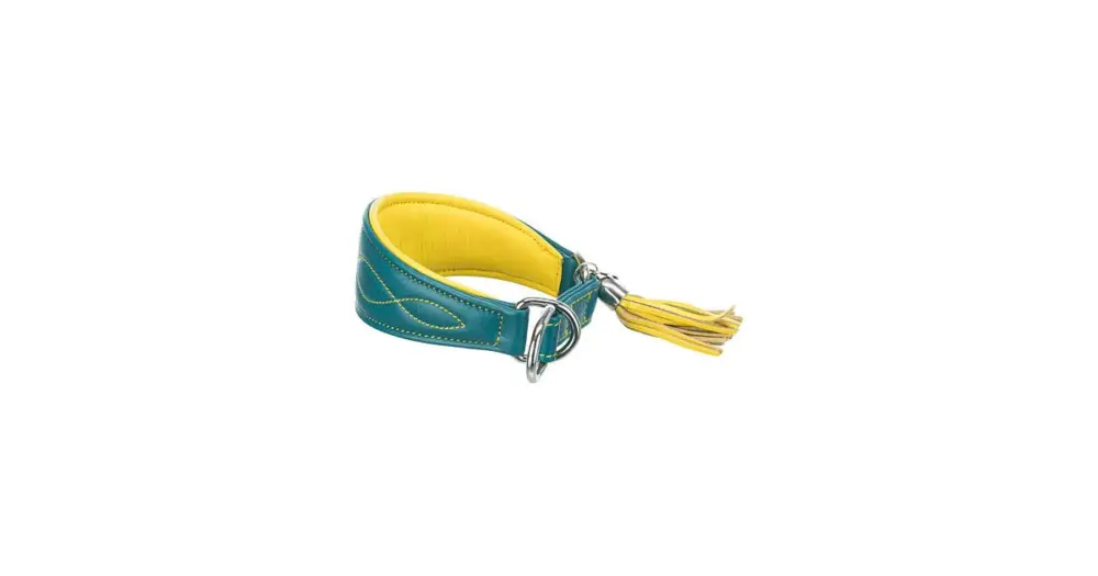 Originální Kožený obojek ACTIVE Comfort pro chrty - petrolejová/žlutá