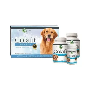 Colafit Max Forte - dárkový balíček velký Omezená Nabídka
