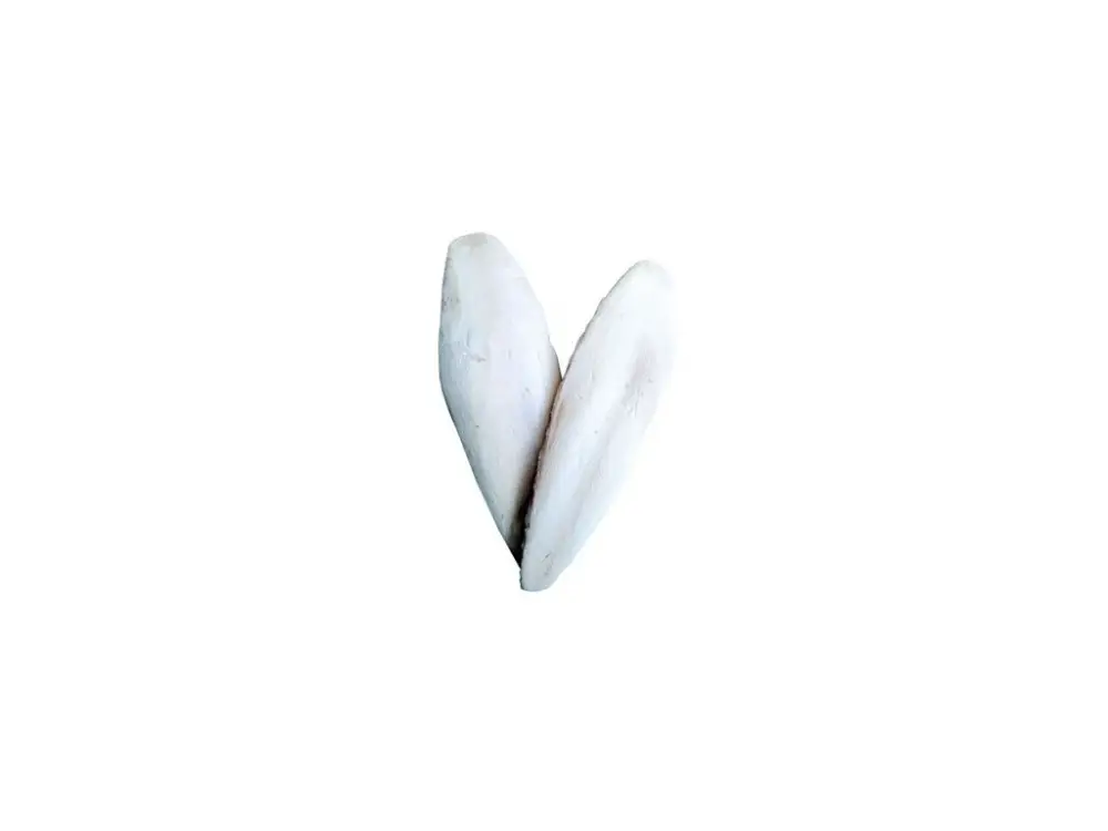 Kost sépiová 15cm (+/-3cm) 15ks Kup Teď