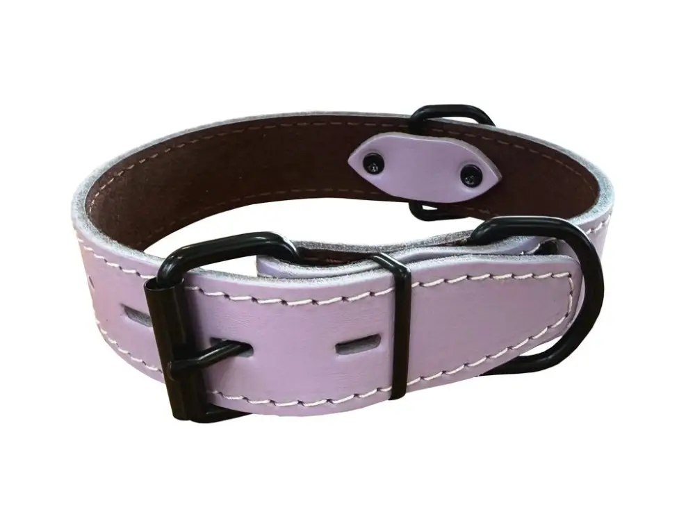 Přímo Od Výrobce Bafpet Obojek HERRY černé kování 55cm/35mm fialová