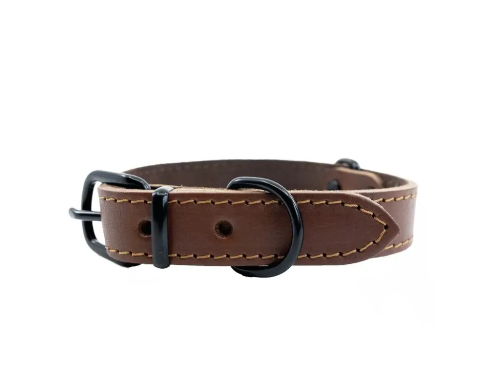 Přímo Od Výrobce Kožený obojek HERRY MINI 45cm 20mm Koňak