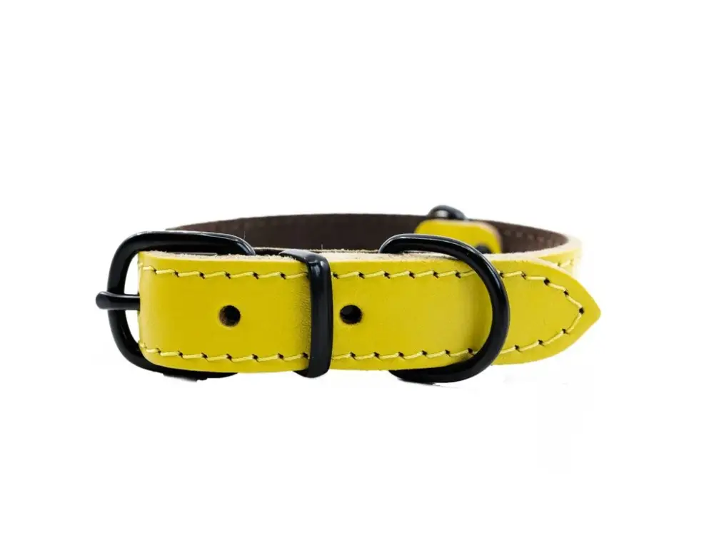 Cenově Výhodný Kožený obojek HERRY MINI 45cm 20mm Žlutá
