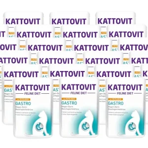Kattovit Gastro krůtí maso 24x85g sáček Přímo Od Výrobce