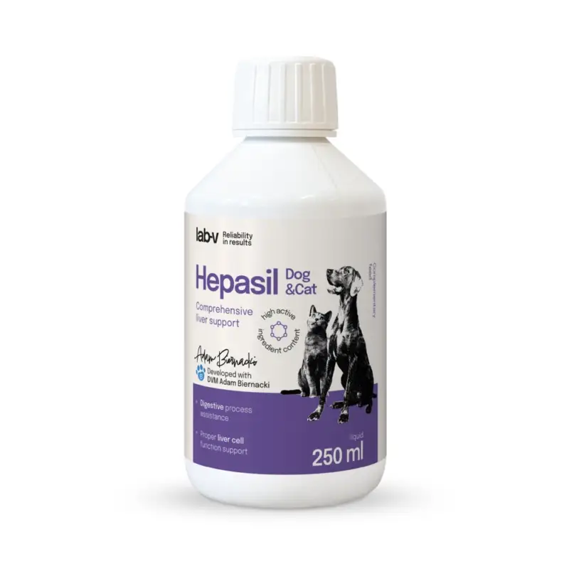 Akční Cena Lab-v Hepasil Dog & Cat přípravek pro zlepšení funkce jater pro psy a kočky 250 ml