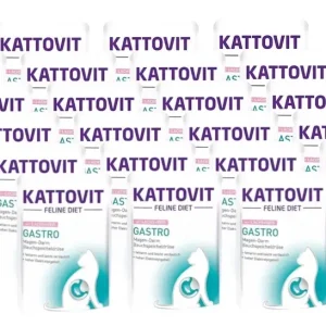 Značkový Kattovit Gastro losos 24x85g sáček
