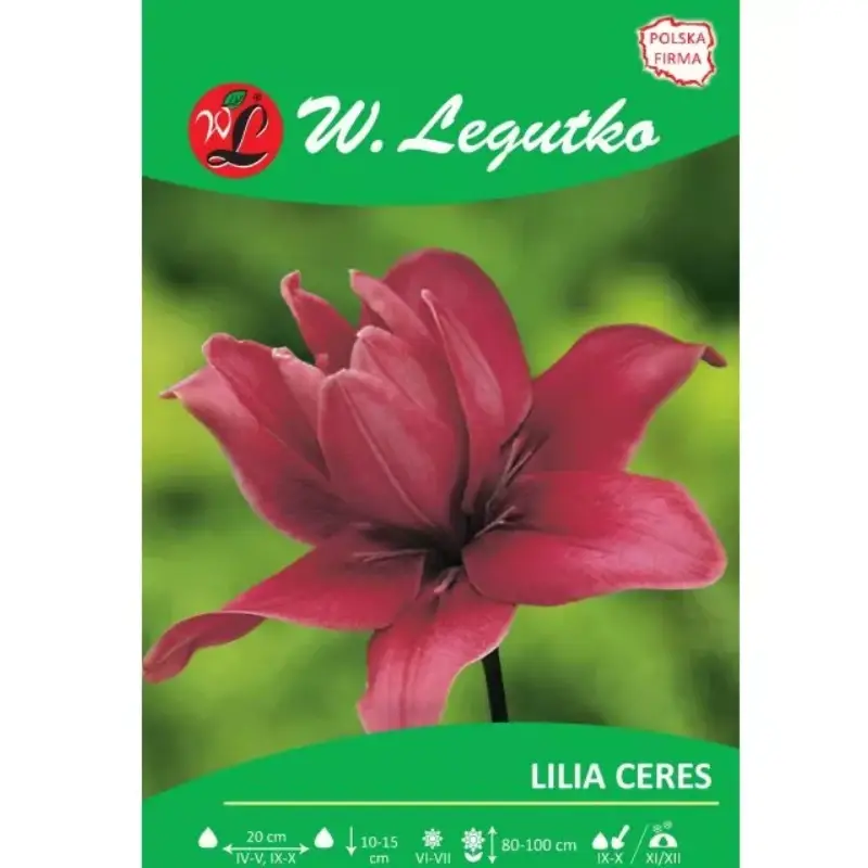 Lilie Ceres růžová 1 ks. Originální