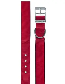 Objednat Nyní Obojek nylon DAYTONA C 45cmx25mm červený FP 1ks