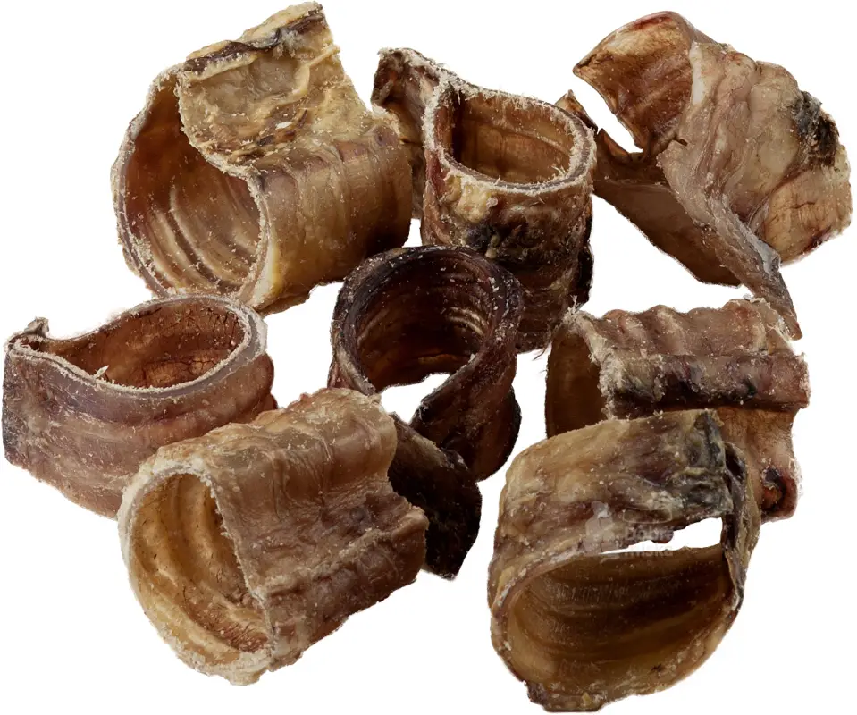 GRAND Dog poch. Suš. Mňamka trachea 100g Sezónní Sleva