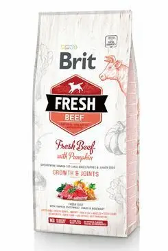 Top Prodej Brit Fresh Dog Beef & Pumpkin Puppy Large 2,5kg
