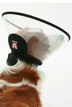 Oblíbený Límec ochranný BUSTER plastový Complete Collar 15cm