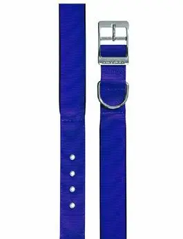Obojek nylon DAYTONA C 35cmx15mm modrý FP 1ks Sleva
